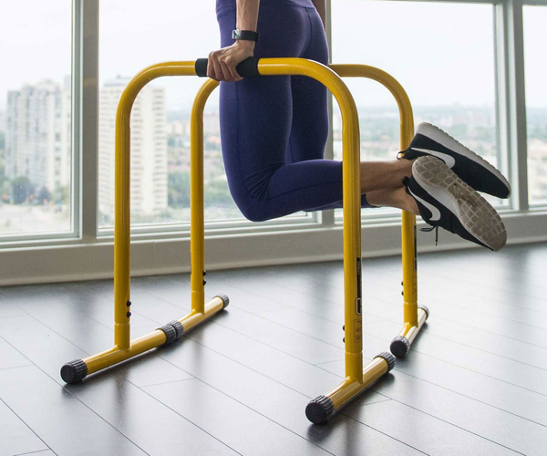 Portable Dip Bars