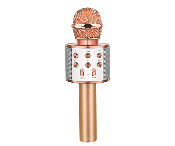 LET'S GO! Wireless Karaoke Microphone