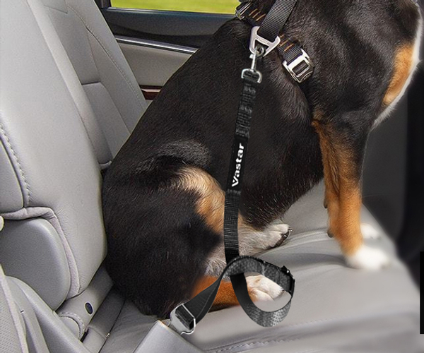Adjustable Pet Car Seat Belt