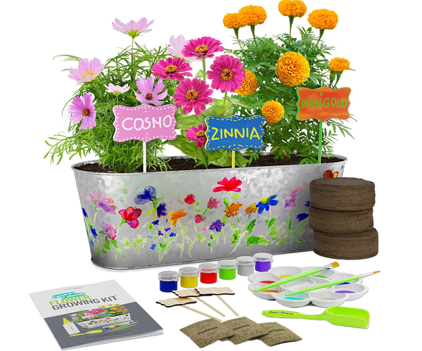 Paint & Plant Flower Growing Kit