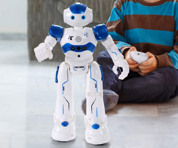 Toch Programmable Smart Infrared Sensing Robot