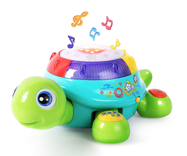 Bilingual Musical Turtle Toy
