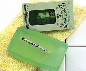 Money Soap Bar