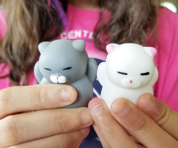 Squishy Kitty Set