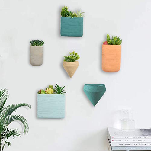 Wall Mounted Decor Planters