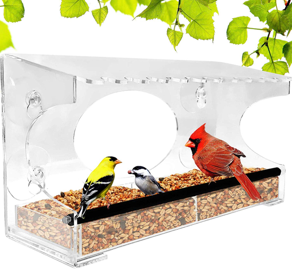 Transparent Bird Feeder