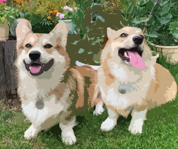 67 Super Cute Corgi Gifts For Anyone Who's Obsessed With Corgis