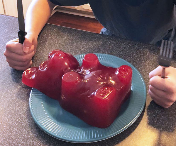 5lb Gummy Bear