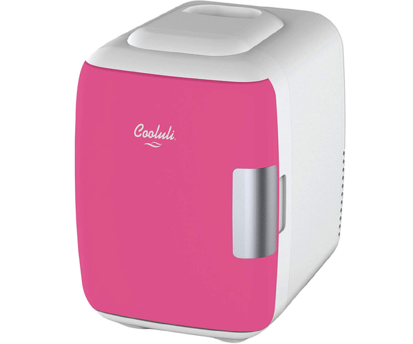 Mini Fridge and Electric Cooler