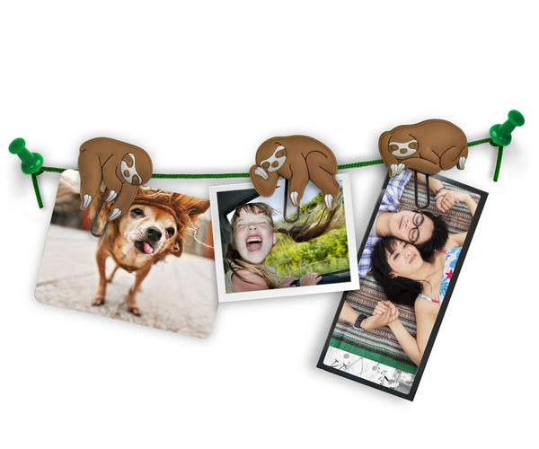 Sloths on a Vine Picture Hangers