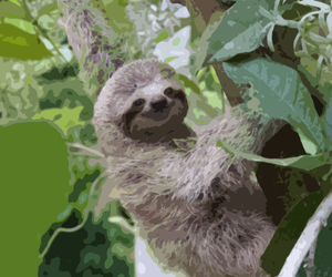 33 Stupendous Sloth Gifts For Anyone Who Just Loves Sloths