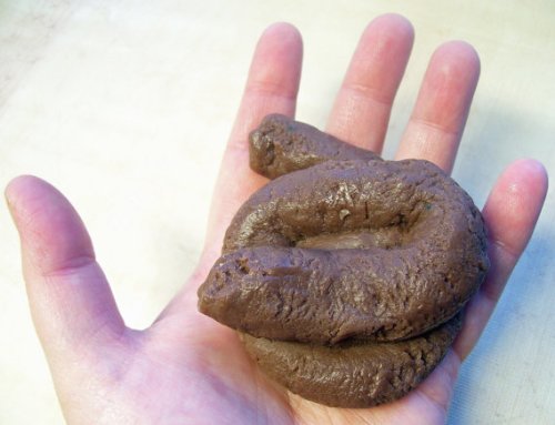 Fake Poop Soap Bar