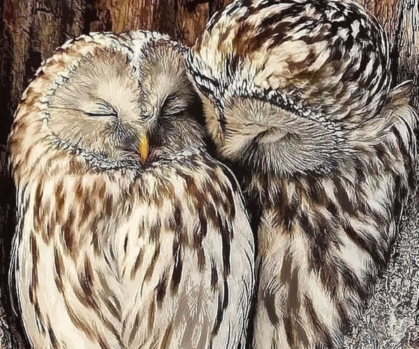 35 Unforgettable Owl Gifts For The Owl Lover In Your Life