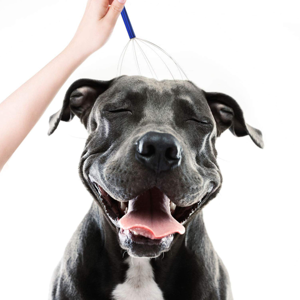 Scalp Massagers