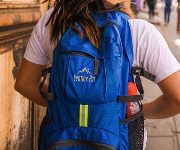 VenturePal Packable Daypack