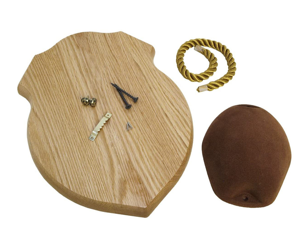 Antler Mount & Display Kit