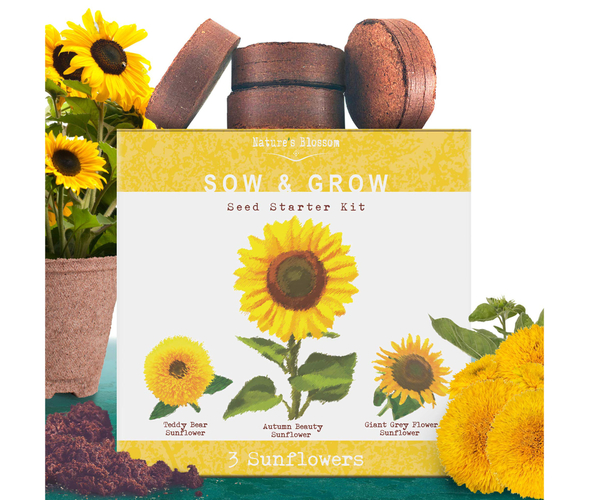 Nature's Blossom Sunflower Growing Kit