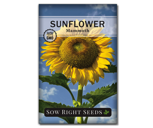 Sow Right Sunflower Seeds