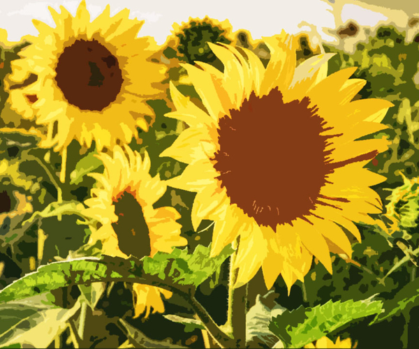 72 Sunflower Gifts That Will Make Anyone Blossom With Joy