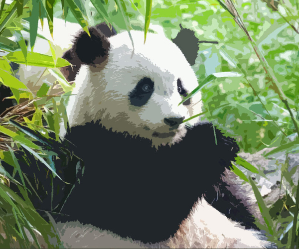 44 Panda Gifts For Anyone Who Just Loves Pandas