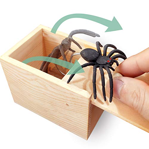 Spider Prank Box