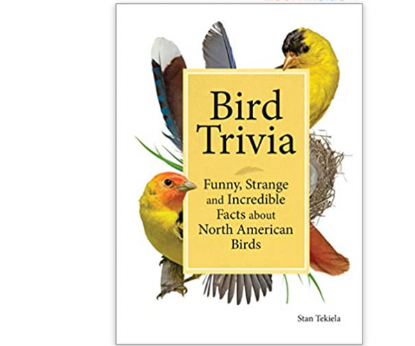 Bird Trivia: Funny, Strange and Incredible Facts about North American Birds
