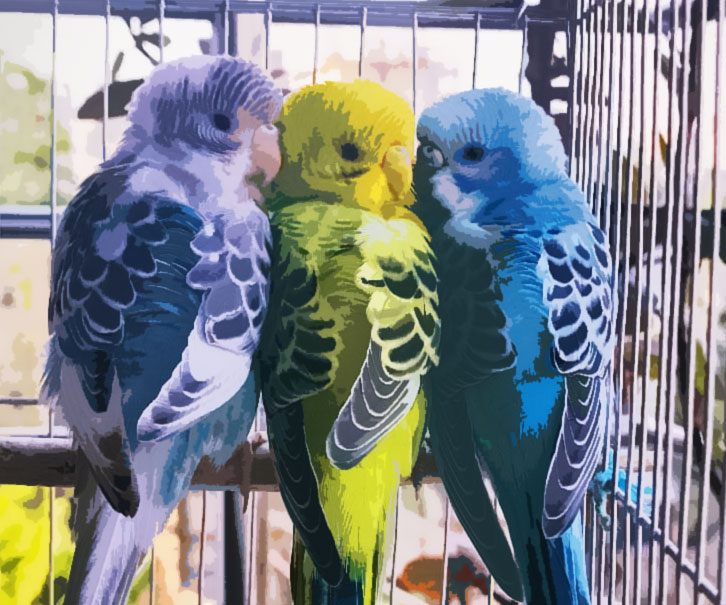 23 Amazing Gifts For Bird Lovers That'll Make Them Chirp With Glee