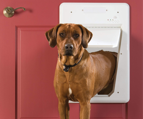 PetSafe Smart Doggy Door