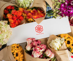 BloomsyBox Flowers Subscription Box