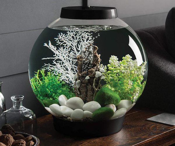 BioOrb Self Contained Ecosystem