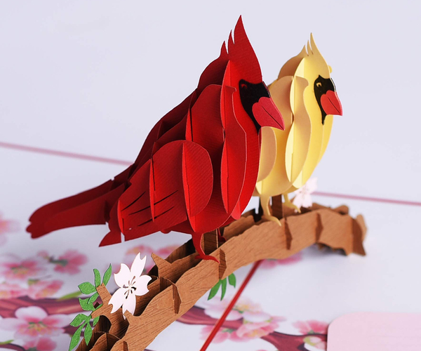 3D Pop Up Cardinal Card