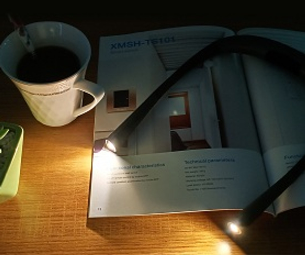 LED Neck Light