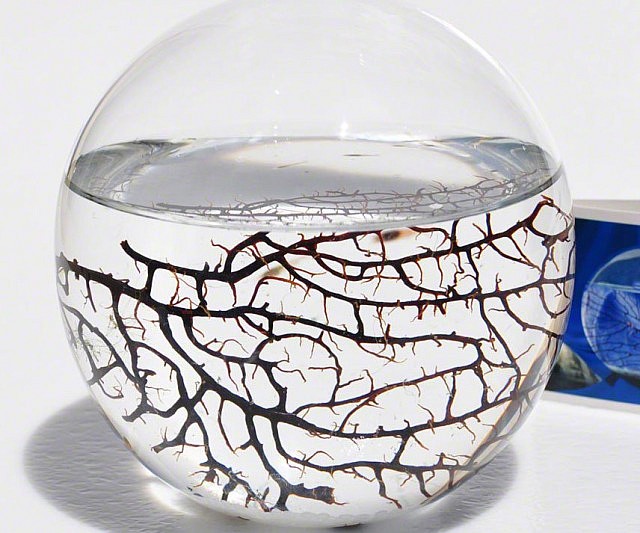Self-Sustaining Ecosystem