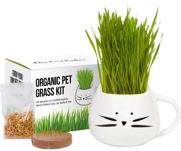 Organic Pet Grass Kit