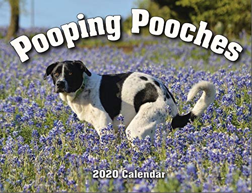 Pooping Pooches Calendar