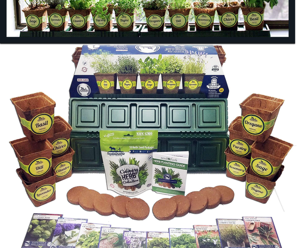 Start An Herb Garden