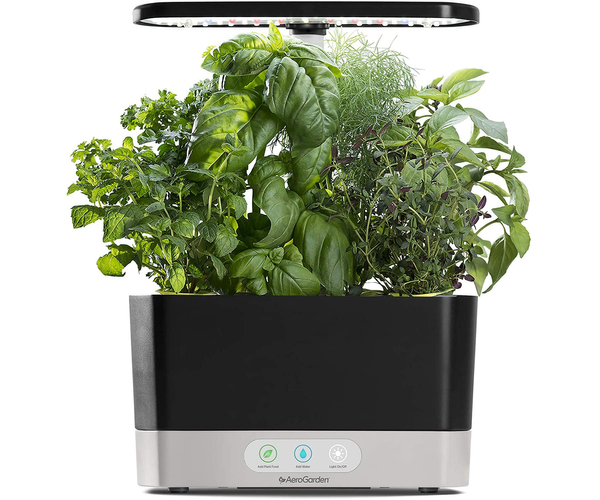 AeroGarden Indoor Herb Garden