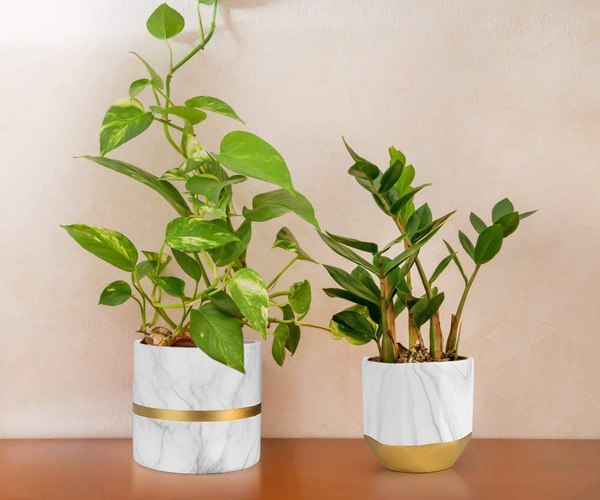 Ceramic Flower Pot