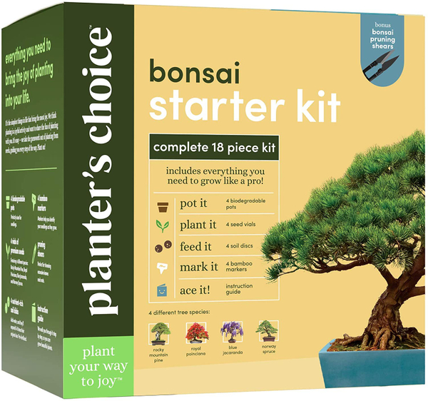 Mini Bonsai Starter Kit