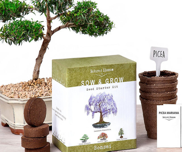 Bonsai Tree Starter Kit