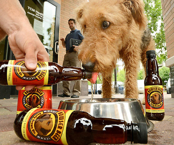 Beer for Dogs