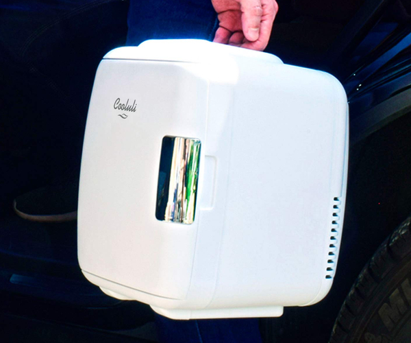 Portable Mini Refrigerator