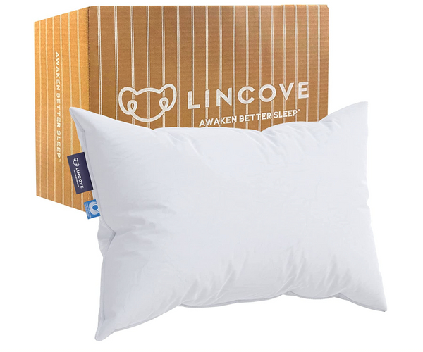 Luxury Pillow