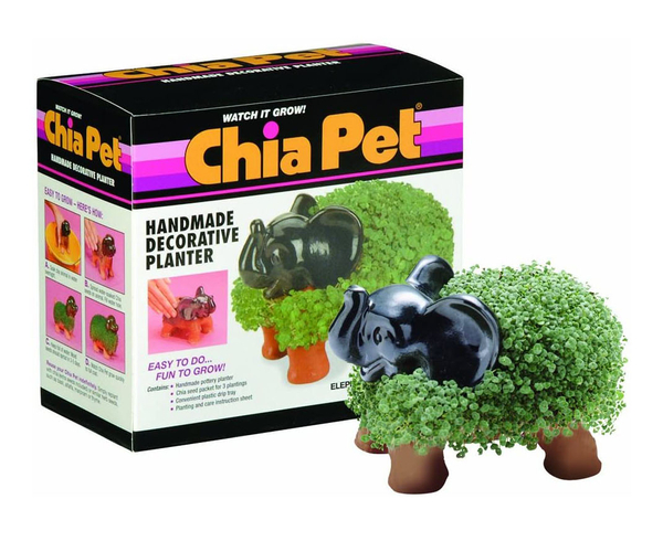 Chia Pet Elephant with Seed Pack