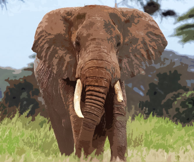35 Amazing Elephant Gifts For Anyone Who Just Loves Elephants