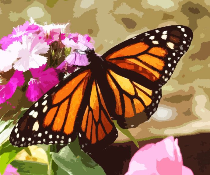 37 Whimsical Butterfly Gifts That'll Make Any Butterfly Lover's Heart Flutter