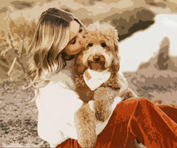 37 Amazing Gifts For Animal Lovers Of Dogs, Cats, Birds, Wild Life, And More