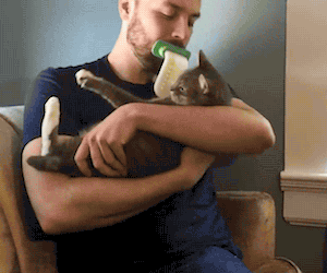 Lick'em Tongue Cat Brush