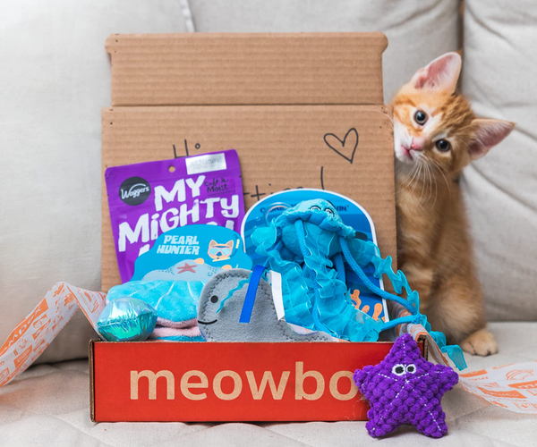 MeowBox The Subscription Box For Cats