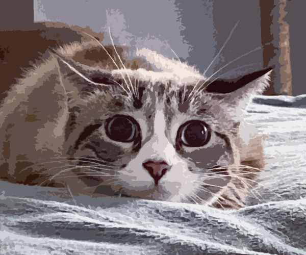 27 Purrr-fect Gifts For Cat Lovers That You Should Purchase Right Meow